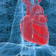 Illustration for article titled Scientists Have Found a Way to Regenerate Muscle Tissue After a Heart Attack